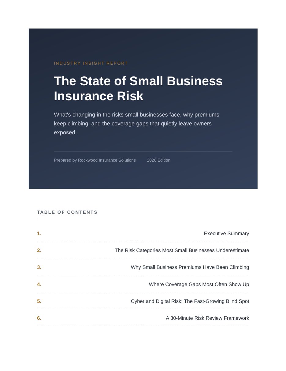 Cover of The State of Small Business Insurance Risk